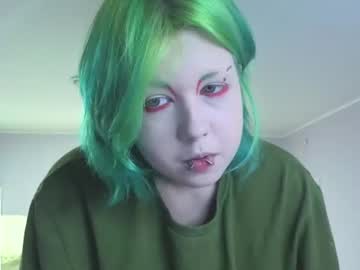 littlekittensta